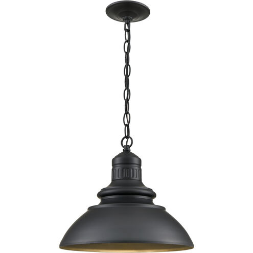 Adda LED 13.03 inch Powder Coated Black Outdoor Hanging Lantern